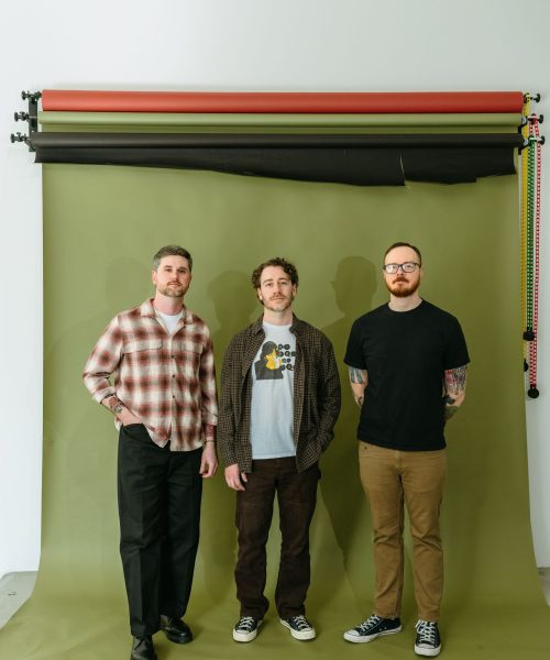 Image module